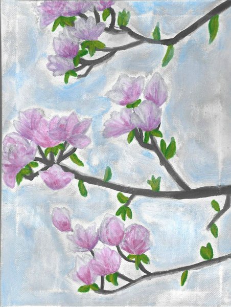 Magnolie